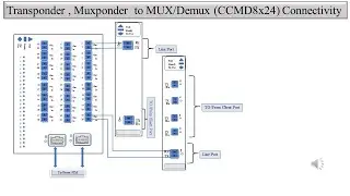 Physical Connectivity between Ciena Transponder/Muxponder to CCMD8x24  in Signal Flow of DWDM.