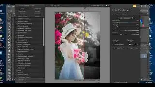 photoshop cc all plugins||dynamiclink not available||kaun sa Photoshop use Karen low end PC mein