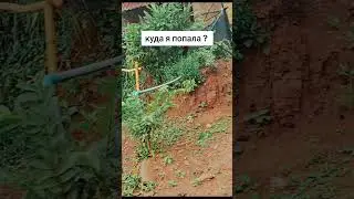 и где я нахожусь? 