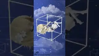 К кому прилетела? 💫 