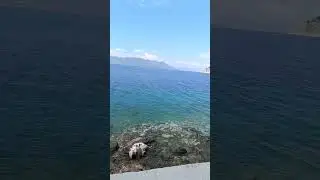 ПОГОДА В ГРЕЦИЯ НА ОСТРОВЕ ЭГИНП