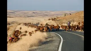 Weekend TV Worth Watching!   A full episode of Today's Wild West!