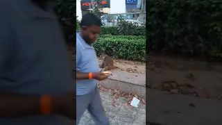 Обезьянка пьёт чай🐒