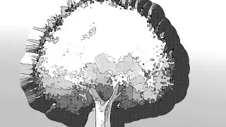 Where are dimensions-TVMXK8(Official audio)