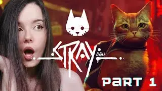 DO ORDINARY CAT STUFF THE GAME | Stray part 1 [Twitch stream]
