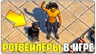 СУРОВЫЕ РОТВЕЙЛЕРЫ И МИЛЫЕ КОРГИ В LDOE! РЕДЧАЙШИЙ МОДУЛЬ НА ДРОБОВИК - Last Day on Earth: Survival