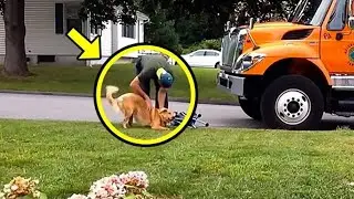 The garbage man didn't know he was being filmed. What he did to the dog is shocking...