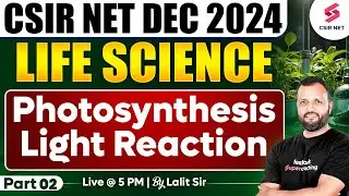 CSIR NET DEC 2024 | Life Science | Photosynthesis Light Reaction In details | Part 02 | Dr Lalit Pal