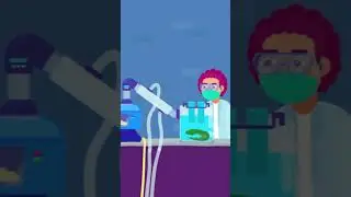 Is Sugar an Element? 