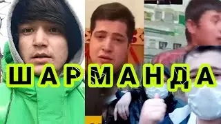 ШАВКАТ БУХАРСКИЙ хаммаси тамом булди. shavkat buxarskiy, шавкат бухарский