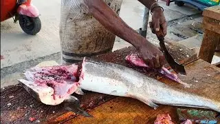 Cobia fishcutting in fishmarket🐟🐟🐟 || fish cutting and cleaning || chopping skill || viral fish.....