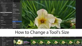 How to Change a Tool's Size