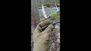 Есть ли у меня медный ручей?