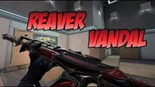 Omen 1v4 Ace Clutch, Reaver Vandal is OP