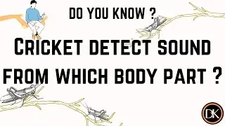 Cricket detect sound from which body part | How they detect sound ? | crickets | cricket insect