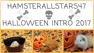 HAMSTERALLSTARS47 HALLOWEEN INTRO 2017