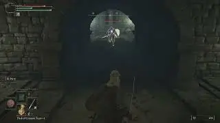 ELDEN RING Perfect Timing ...
