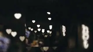 What is Love? (Speed Up)