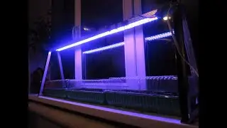 ПОДСВЕТКА РАСТЕНИЙ ЗИМОЙ эффективный способ проверенный временем.