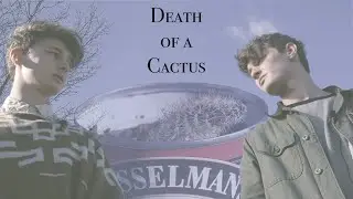Death of a Cactus