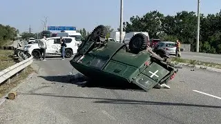 ДТП из-за двух оленей
