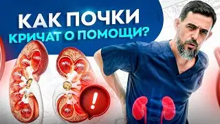 ПРИЗНАКИ УКАЗЫВАЮЩИЕ НА ПРОБЛЕМЫ С ПОЧКАМИ. ЭТО НЕЛЬЗЯ ИГНОРИРОВАТЬ!
