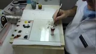 How to make a Prosthetic Eye!! (albeyes@nmia.com)