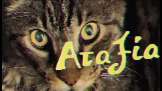 Tωm Unit - 07. Αταξία (prod. by Turdigrade) (VIDEO CLIP) #ΠΤΓΜ