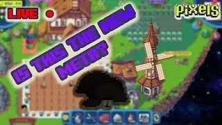 Live: Let's talk about the current META| Pixels Online?
