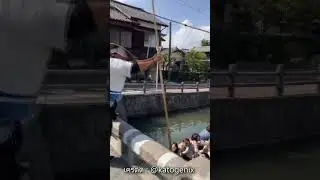 นักพายเรือ  สร้างความประทับใจ 😍😍 #เล่าเรื่อง #shorts #viral