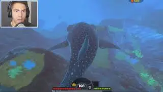 Guys I’ve Just Swallowed the Giant Whale Effects
