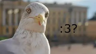 Дебилизм :D