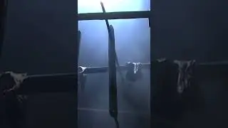 😳 Деликатесы кочевников — строганина и мясо с кровью 