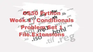 CS50 Python | Week 1 | Conditionals | Problem Set 1 | File Extensions