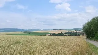 Вышел в немецкое поле, красиво