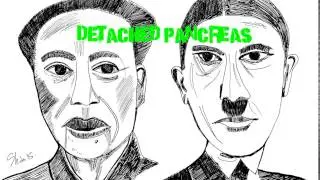 Detached Pancreas - spoof punk