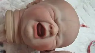 ¡Cachitos Reborn está emitiendo en directo!