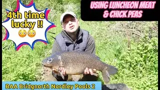 Carp Fishing on Pool 2 Nordley Pools Bridgnorth. (Using Chick Peas and Luncheon Meat)  4th attempt 🙈