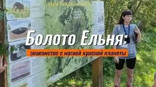 Ельня : самое популярное болото Беларуси.
