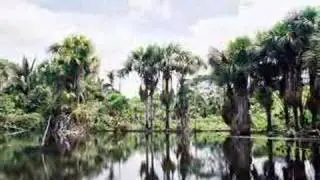 Amazon, Brazil