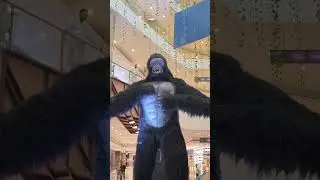 King Kong in Chandigarh 🔥
