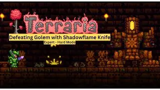 #terraria
