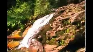 The Stellar Jays of Bijou Falls