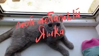 Мой любимый Яшка😍