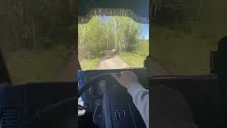 31 мая 2024 г.