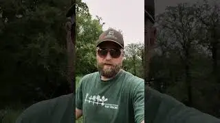 Apple tree orchard #Shorts