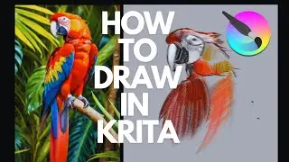 How to Draw in Krita for Beginners | Digital Art Tutorial