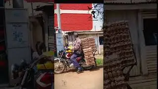 #eggs #eggcarry #chicken #EggcellentEats #bikecarrier -Pets Paradise