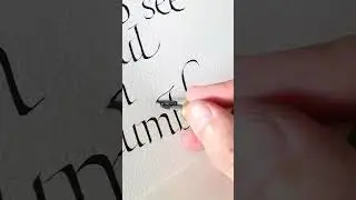 Calligraphy Quote with a Broad Edged nib x Filip Cislak #caligrapghy #quote #caligrapghymasters #art