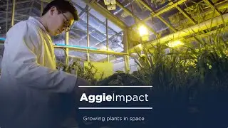 USU Aggies Develop Ways to Grow Plants In Space